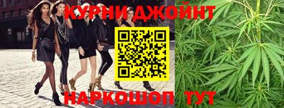 гидра Кингисепп