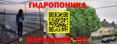 ГАЛЛЮЦИНОГЕННЫЕ ГРИБЫ Кимры