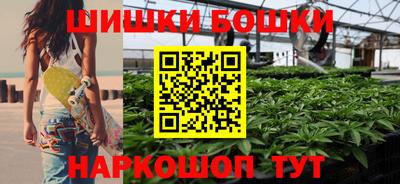 гидра Кингисепп