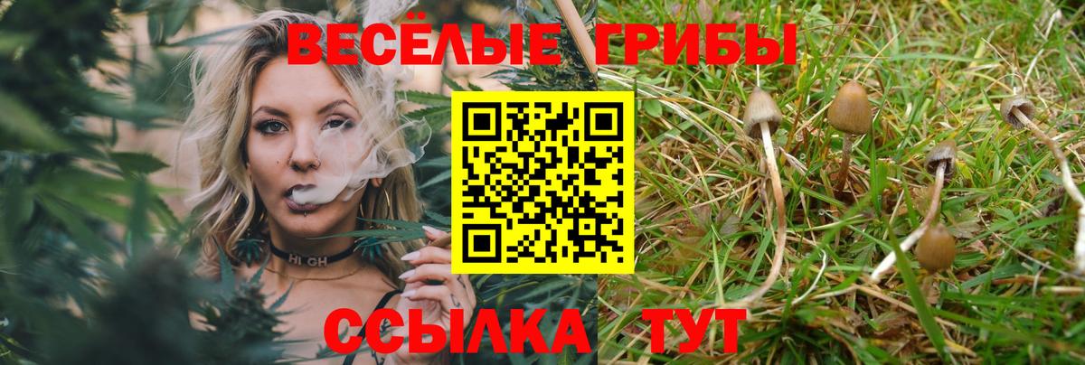 Псилоцибиновые грибы MAGIC MUSHROOMS Красногорск