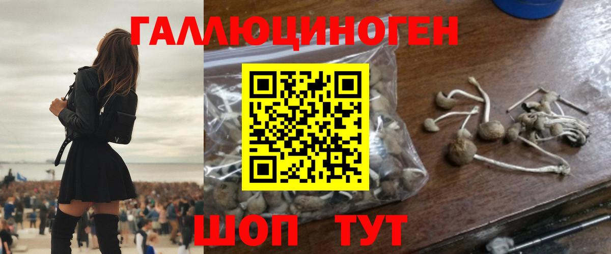 Галлюциногенные грибы Psilocybe  Вход с VPN  Красногорск  Галлюциногенные грибы MAGIC MUSHROOMS 